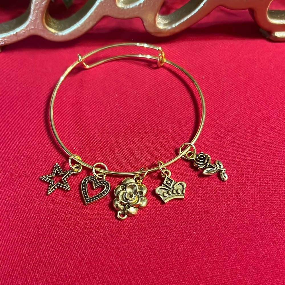 Beautiful Expandable Charm Bracelet - Picture 1 of 1